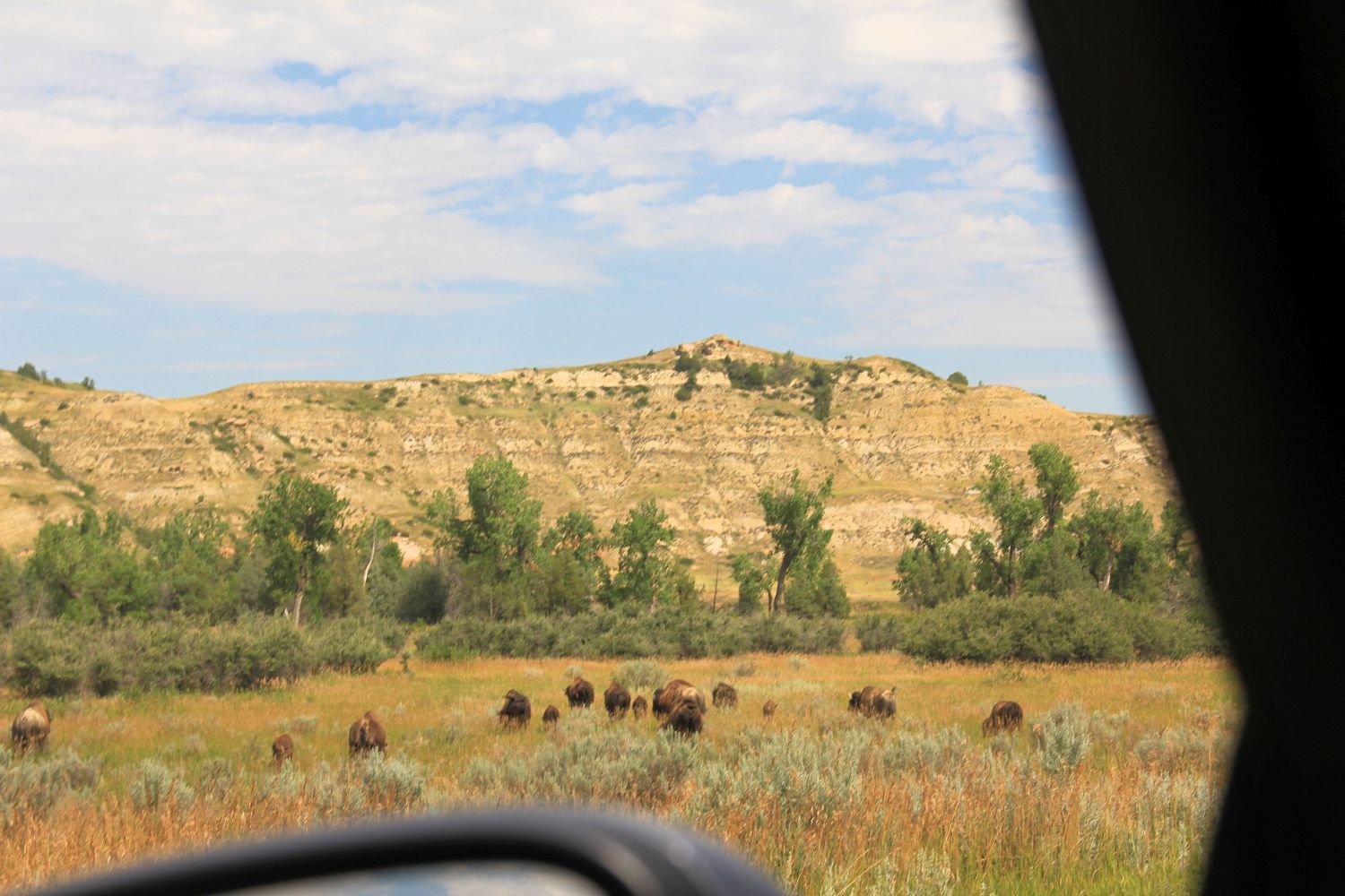 South Unit Scenic Highway and Hikes 